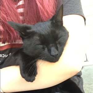 Meet your Posher, Nikki